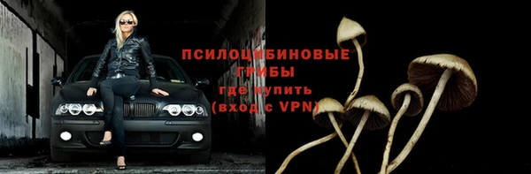 тгк Алзамай