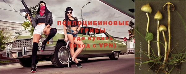 тгк Алзамай