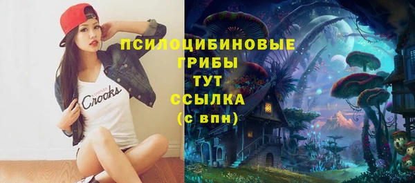 мяу мяу кристалл Алексин