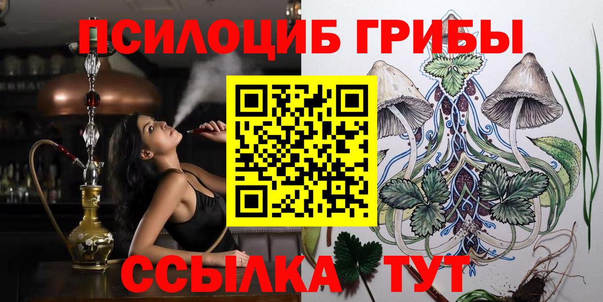 Псилоцибиновые грибы Psilocybine cubensis Казань